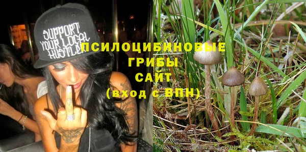 a pvp Карпинск